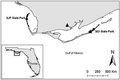 Influences of the Local Climate on Loggerhead Hatchling Production in North Florida: Implications From Climate Change